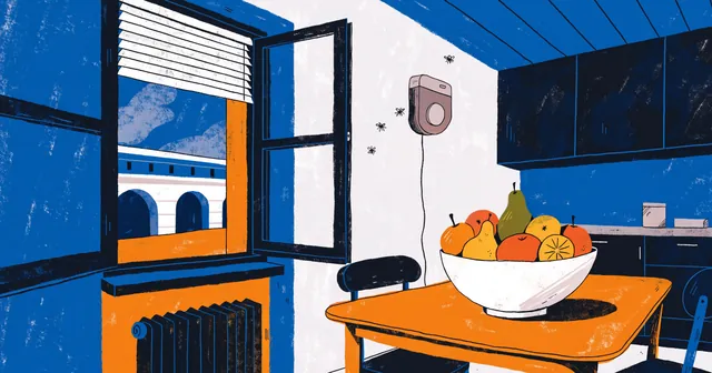 Küche im Sommer mit offenem Fenster, Obstschale und UV-Insektenlampe, einzelne Fliegen