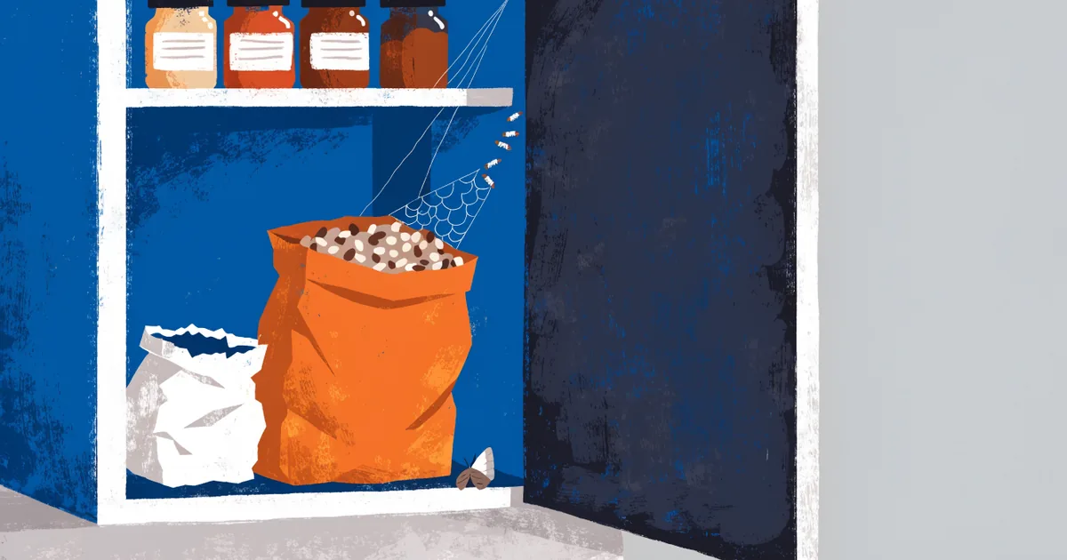 Lebensmittelmotten im Vorratsschrank: Gespinste im Müsli und Larven in der Schrankecke