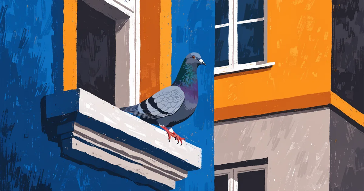 Stadttaube auf einem Fenstersims: blaugraue Taube mit zwei dunklen Flügelbinden und roten Füßen